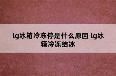 lg冰箱冷冻停是什么原因 lg冰箱冷冻结冰